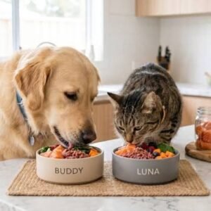 Feeding & Daily Care